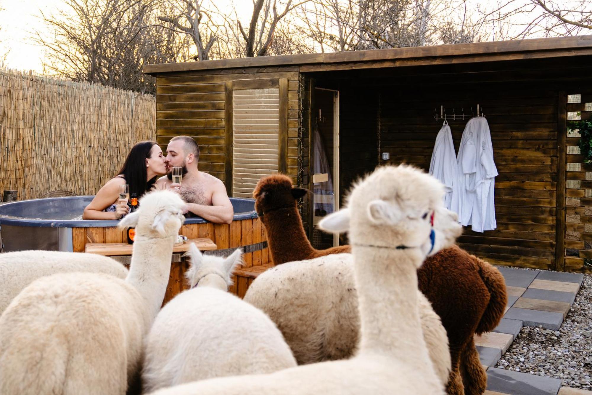 Branesti The Tribe Alpaca Retreat酒店 外观 照片