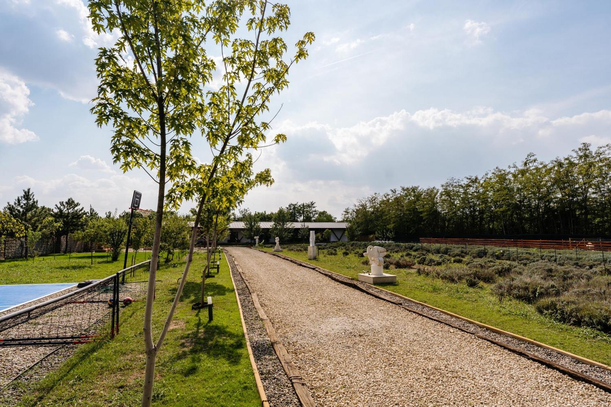 Branesti The Tribe Alpaca Retreat酒店 外观 照片