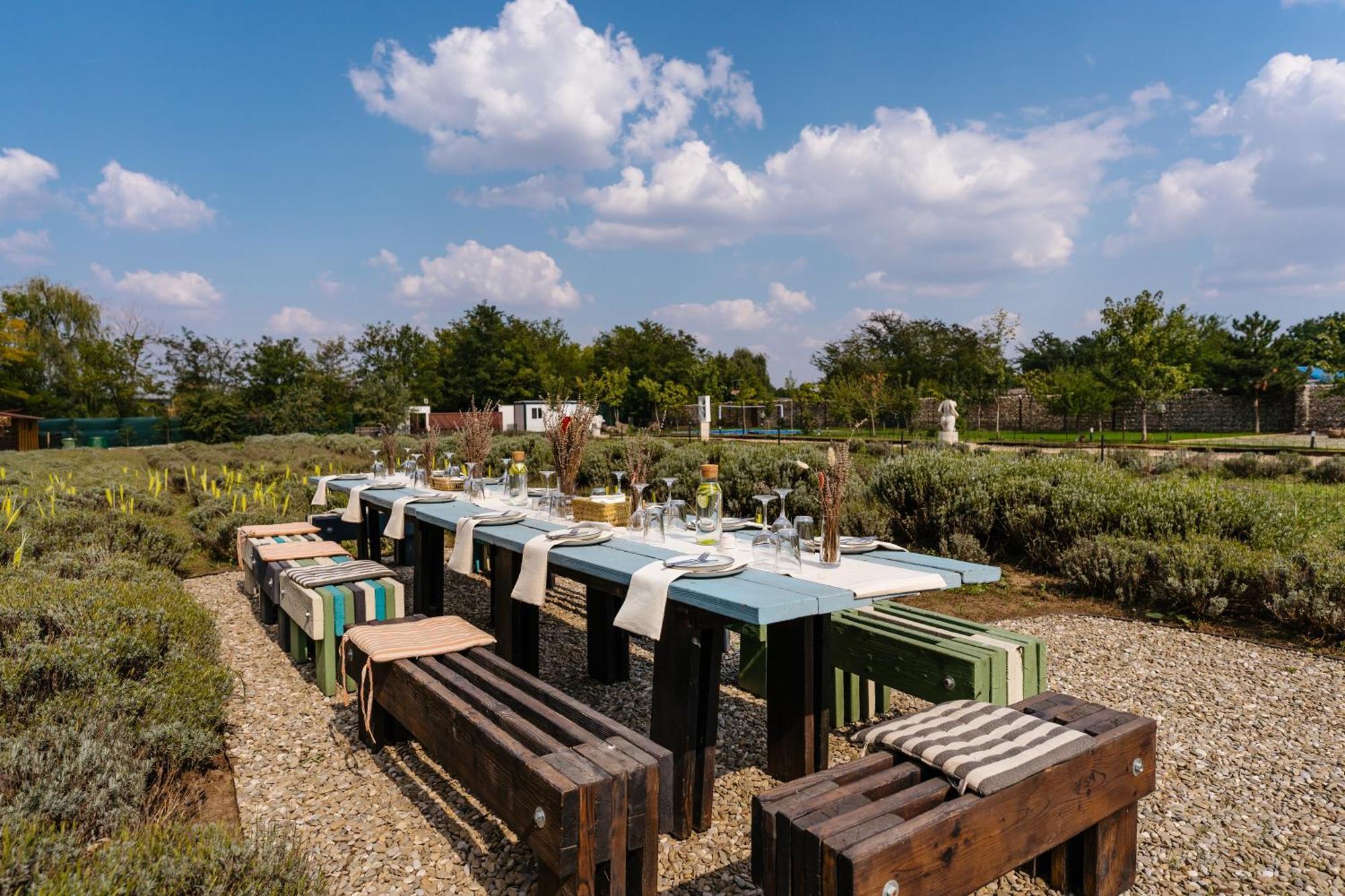 Branesti The Tribe Alpaca Retreat酒店 外观 照片