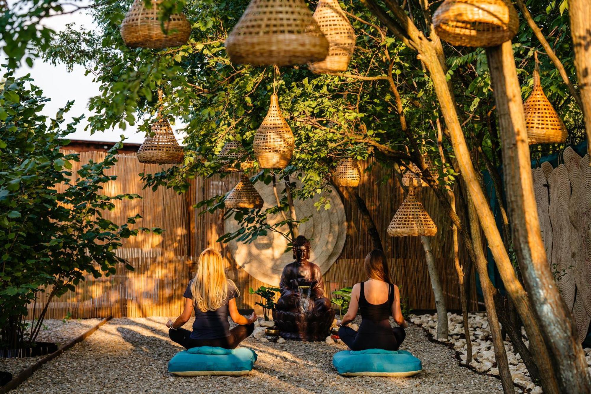 Branesti The Tribe Alpaca Retreat酒店 外观 照片
