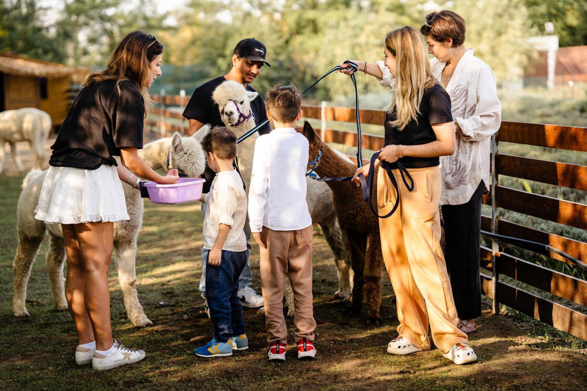 Branesti The Tribe Alpaca Retreat酒店 外观 照片