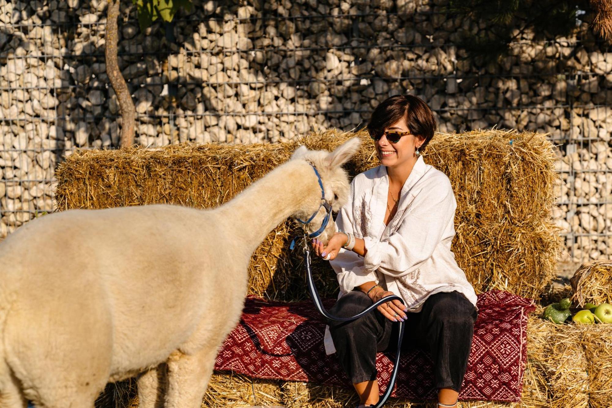 Branesti The Tribe Alpaca Retreat酒店 外观 照片