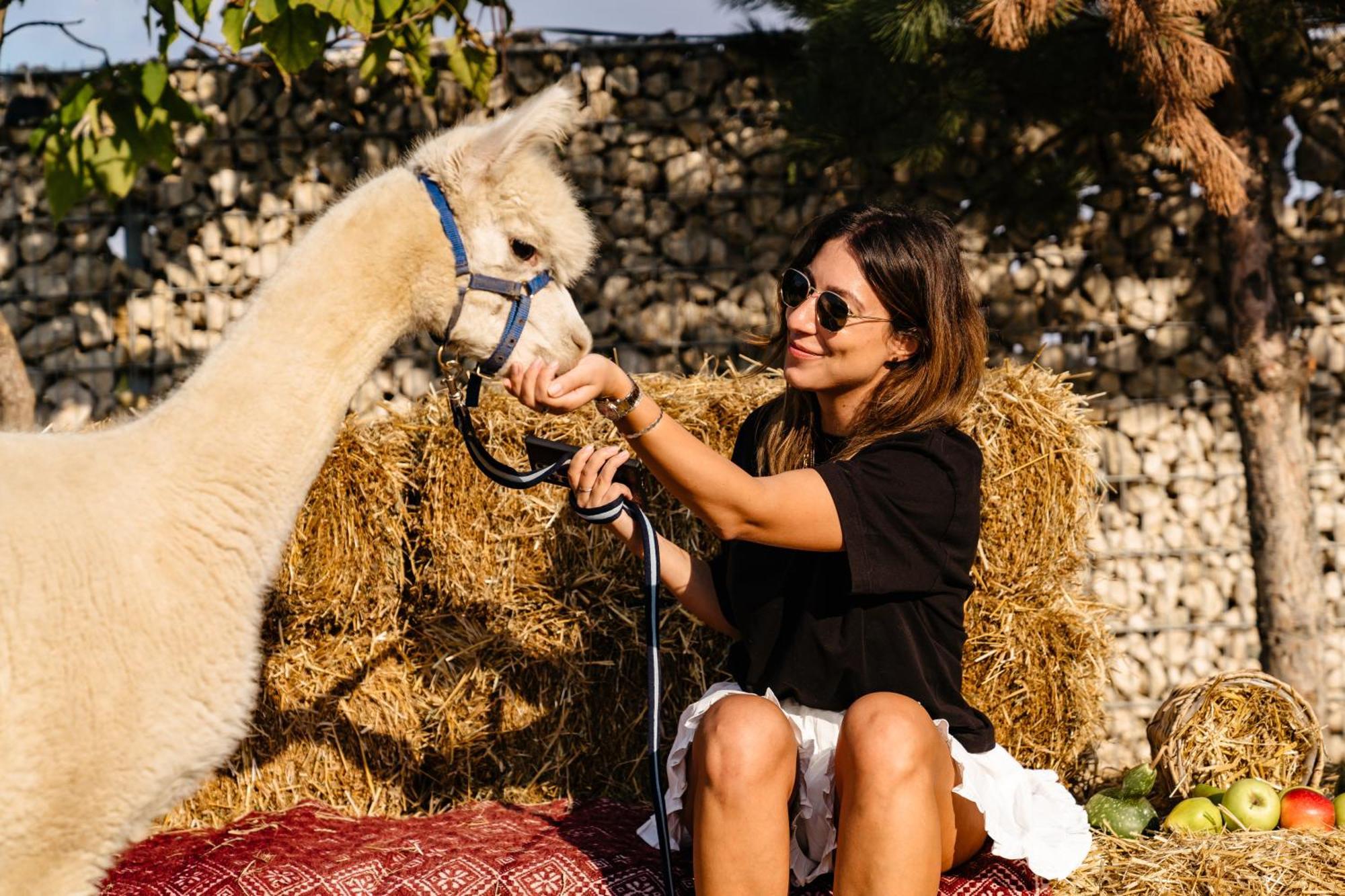 Branesti The Tribe Alpaca Retreat酒店 外观 照片