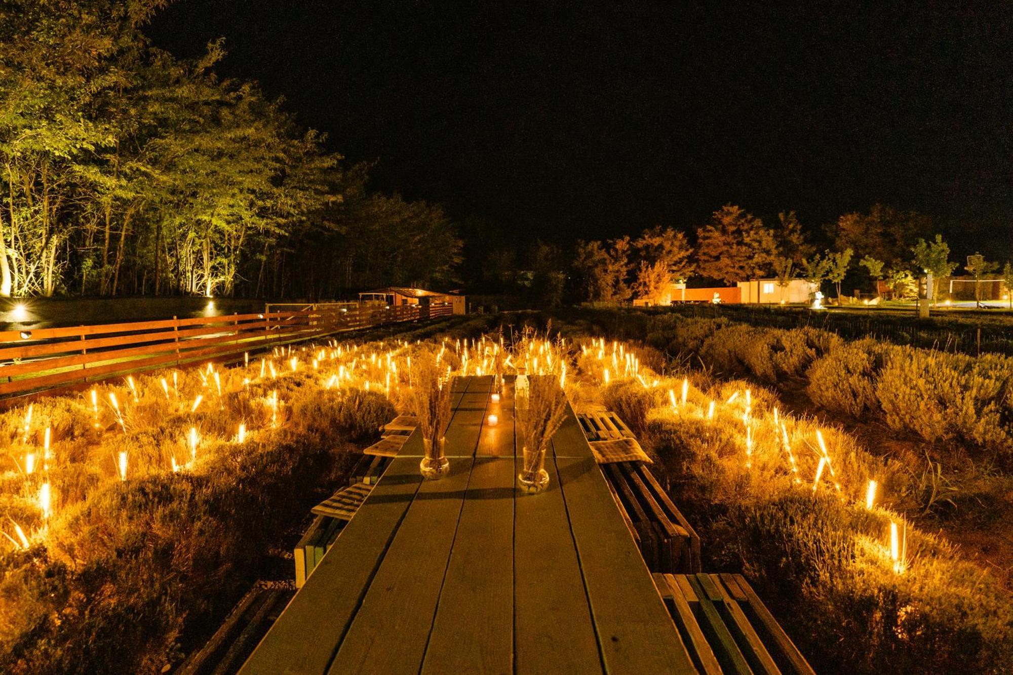 Branesti The Tribe Alpaca Retreat酒店 外观 照片